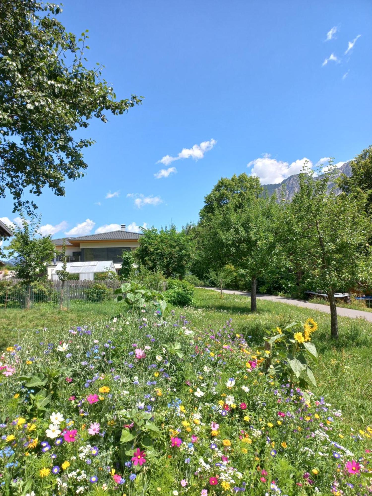 Ferienhaus Raich Vandans Dış mekan fotoğraf